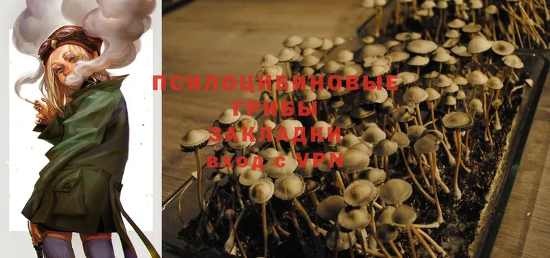 Псилоцибиновые грибы MAGIC MUSHROOMS  Новопавловск 